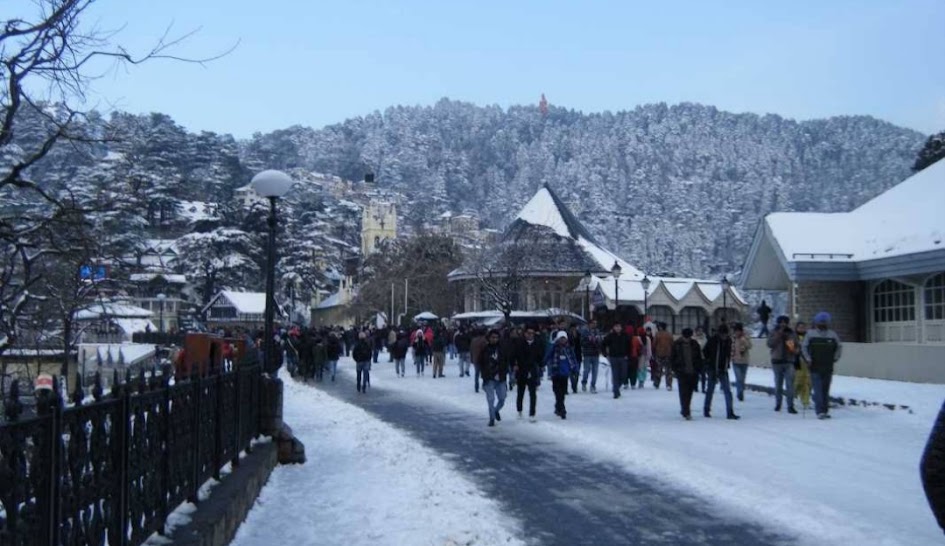 Shimla